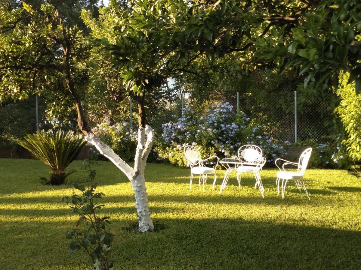 Casa Malu Boutique - No 2
